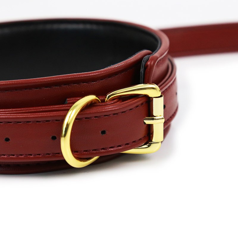 steam-fantasy-collar-con-correa (2)
