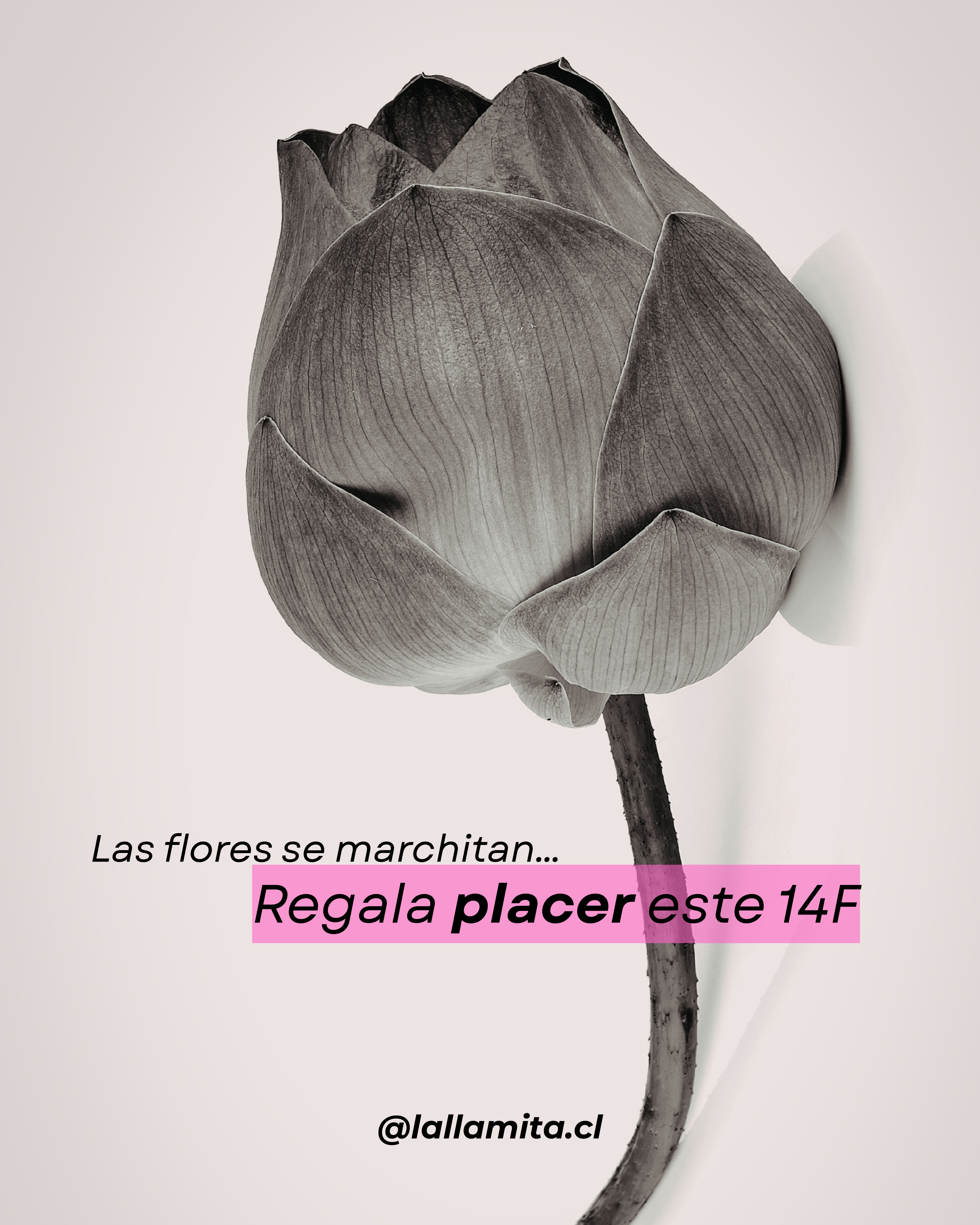 Banner Web Horizontal Feliz Navidad Minimalista Verde y Blanco (800 x 1000 mm)